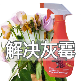 灰霉克星玫瑰灰霉病颜鲜鲜切花解决喷雾剂鲜花保鲜剂家庭用花店用