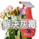 灰霉克星玫瑰灰霉病颜鲜鲜切花解决喷雾剂鲜花保鲜剂家庭用花店用
