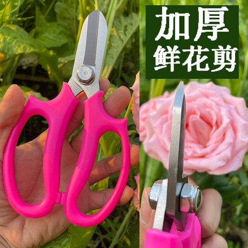 鲜花枝剪玫瑰花剪刀花艺师花店用