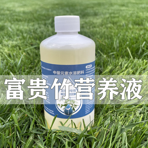 富贵竹水培专用营养液促生根