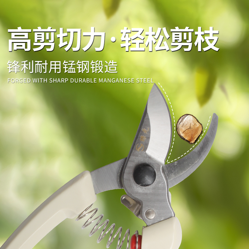 绿元修枝剪盆景专用工具新品上市