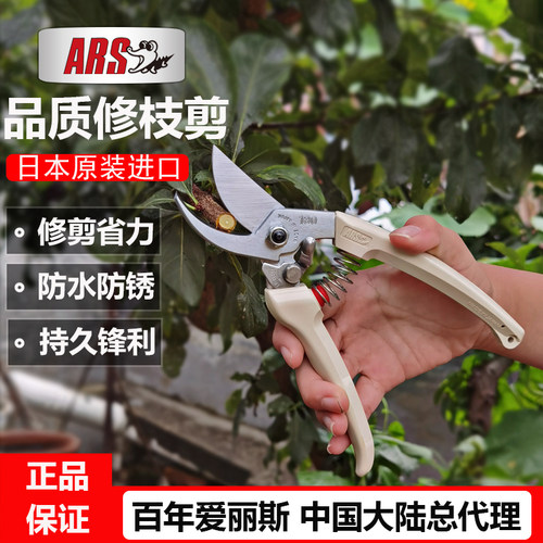 进口锋利耐用爱丽斯果树花艺