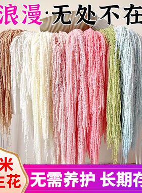 吊米永生花柔丽丝情人泪吊穗软装陈设婚庆布景流苏花材真花干花