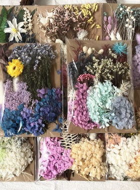 材料包永生干花款画团扇贺卡手工