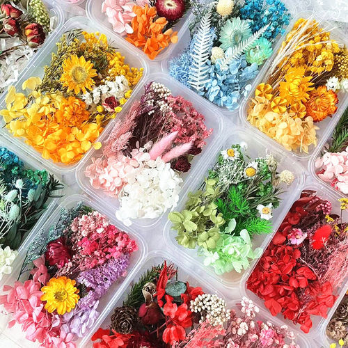 永生花diy精致款干花材料相框