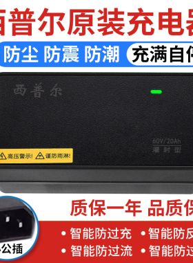 西普尔适用于爱玛电动车充电器48v12ah品字60v20ah72v32A小公插头