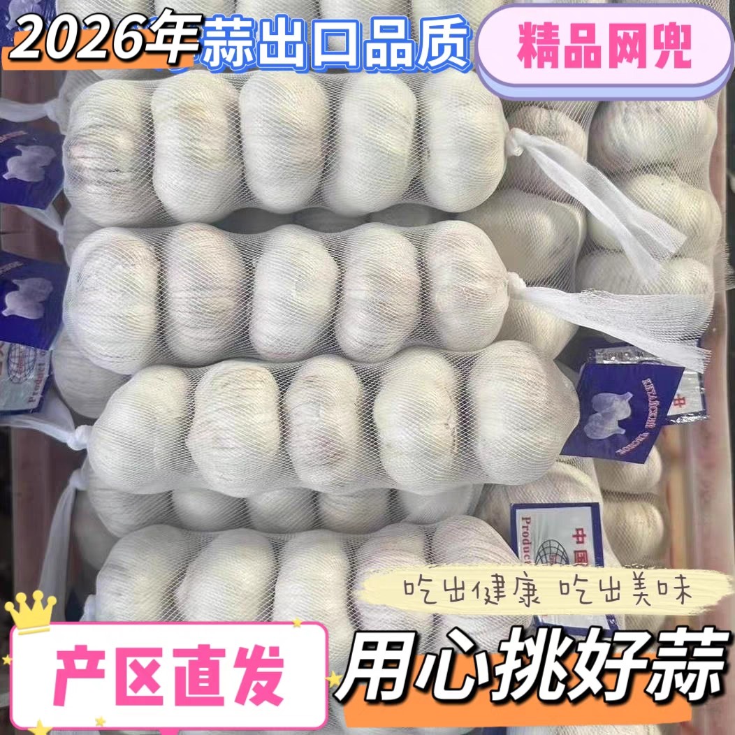 网兜精选大蒜精品邳州2026新干大蒜头干蒜5斤10河南精装特大紫皮