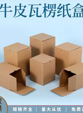 905LED筒灯牛皮彩盒天花射灯英文瓦楞纸盒坑纸中性包装纸箱