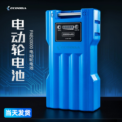 当天发伊酷达电动轮大电池20000