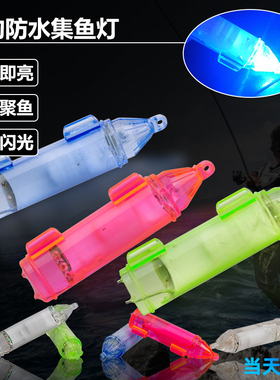 海钓集鱼灯 水下诱鱼灯防水灯快速聚鱼入水即亮超持久LED灯闪光灯