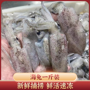 【冷冻叽咕1斤装】东海捕捞叽咕冷冻墨鱼仔八爪鱼小鱿鱼海鲜水产