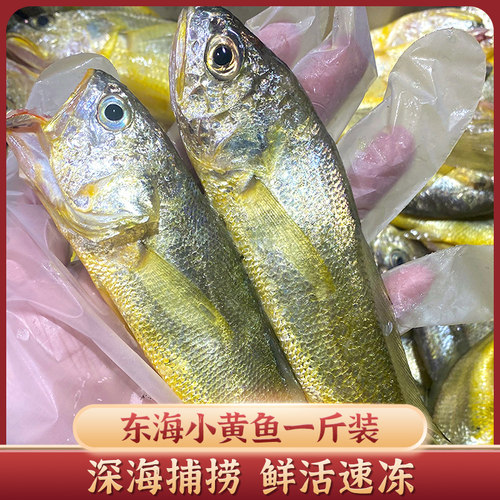 东海野生海捕小黄鱼1斤装