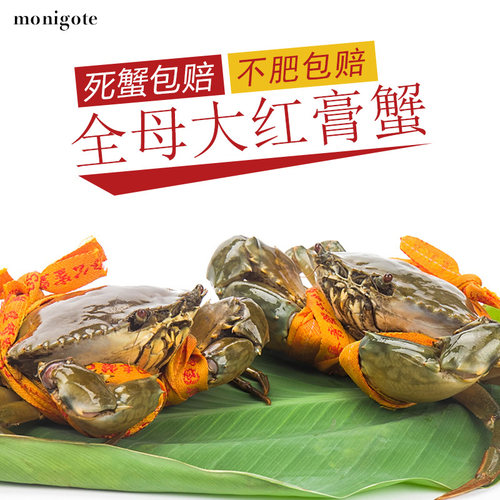 正宗鲜活三门青蟹大母膏蟹红鲟