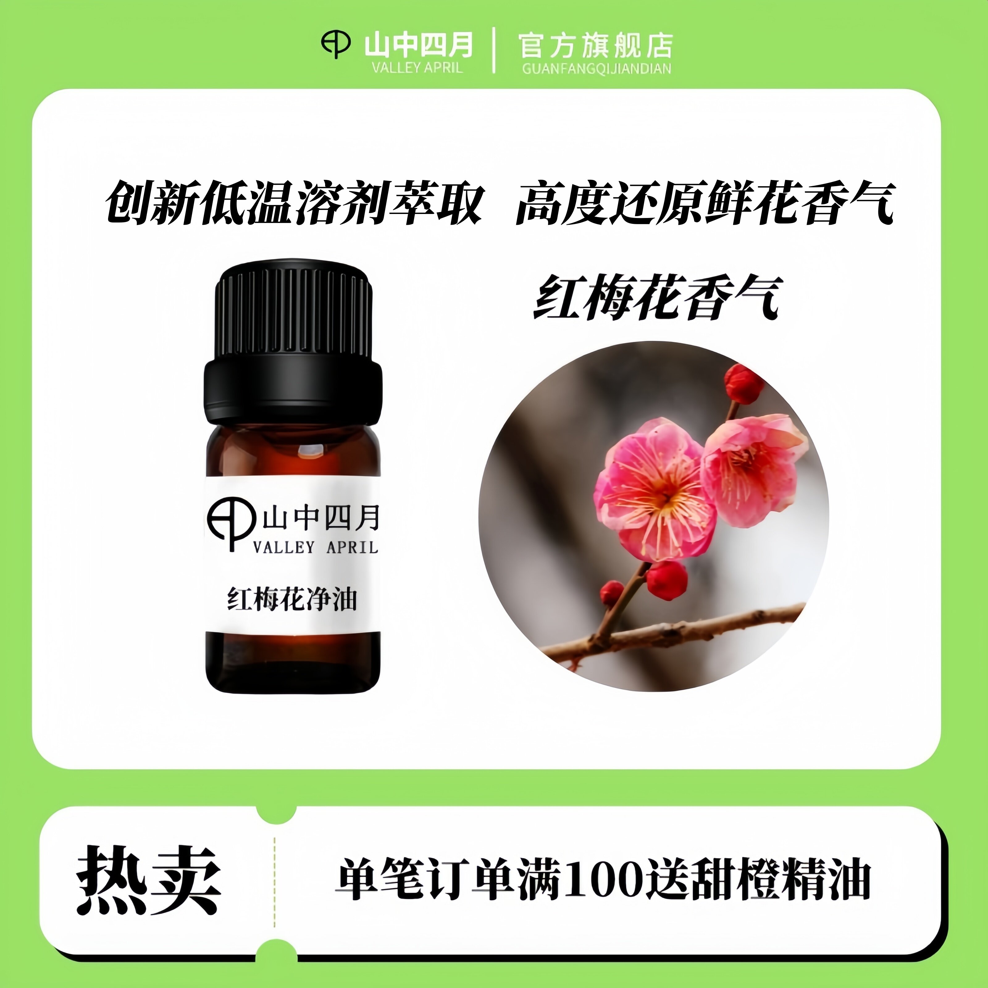 山中四月红梅花稀有单方精油5ml-100ml 香薰芳疗  通用