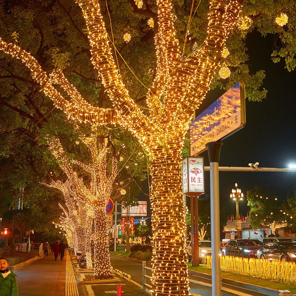 氛围灯带户外树上挂灯装饰灯太阳能串灯满天星室外彩带防水景观灯