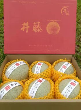 玫珑瓜玫珑蜜瓜礼盒装静冈
