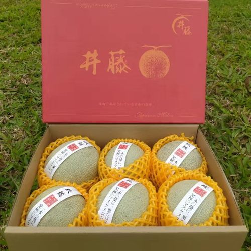 玫珑瓜玫珑蜜瓜礼盒装静冈