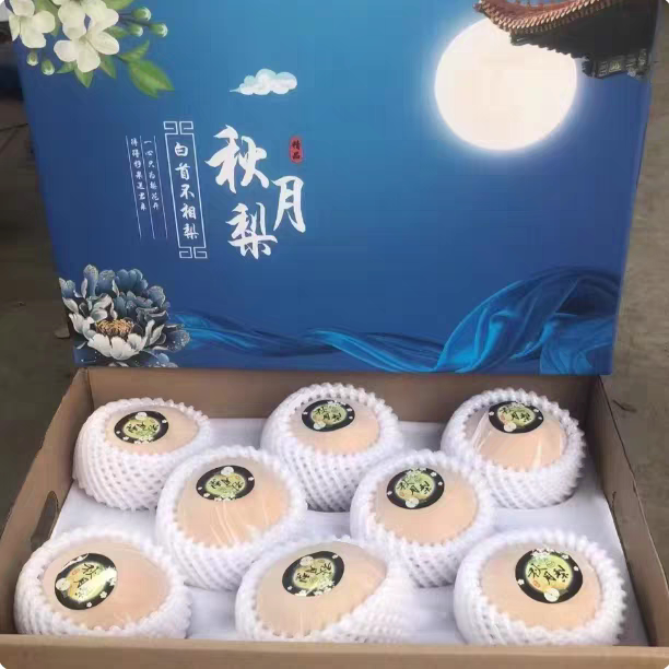 正宗秋月梨礼盒冰糖蜜梨新鲜当季水果中秋送礼3/8斤装包邮