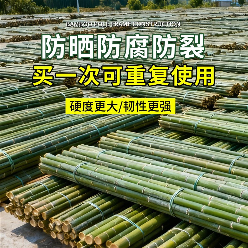 速发竹竿菜园搭架蔬菜黄瓜豆角架杆竹篱笆栅栏小竹子细竹竿爬藤架