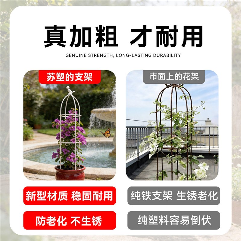 速发铁线莲爬藤支架花盆园艺支柱月季花架球兰绿萝植物防倒攀爬支