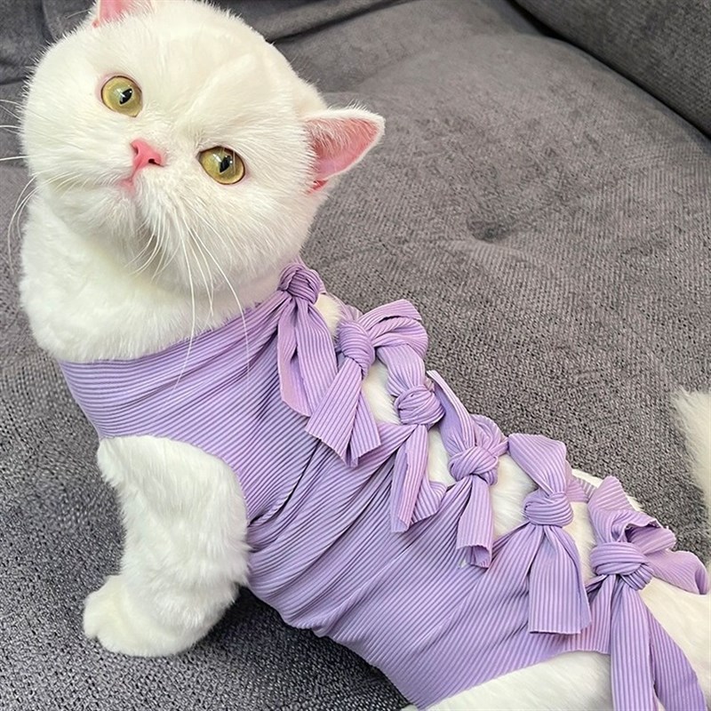 速发术咪绝育手猫后奶药服断用透气生理裤防舔骚扰衣服用品直供