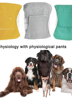 现货速发ly reusable me pet dog dir pats simple stru hy