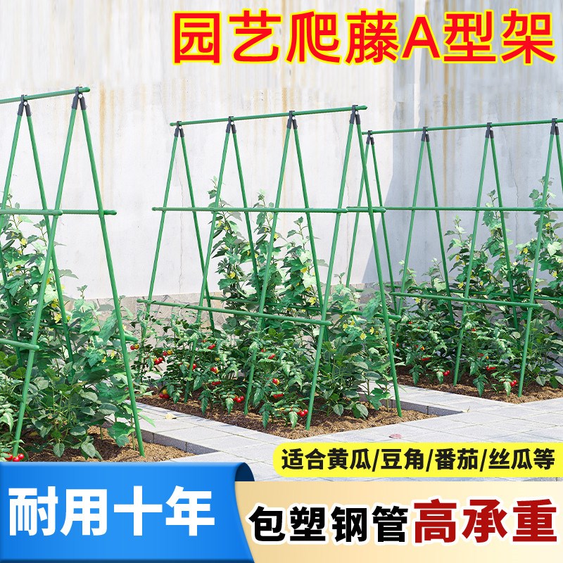 速发黄瓜四季豆角爬藤架种菜菜盆支撑杆户外攀爬架番茄搭架子包塑