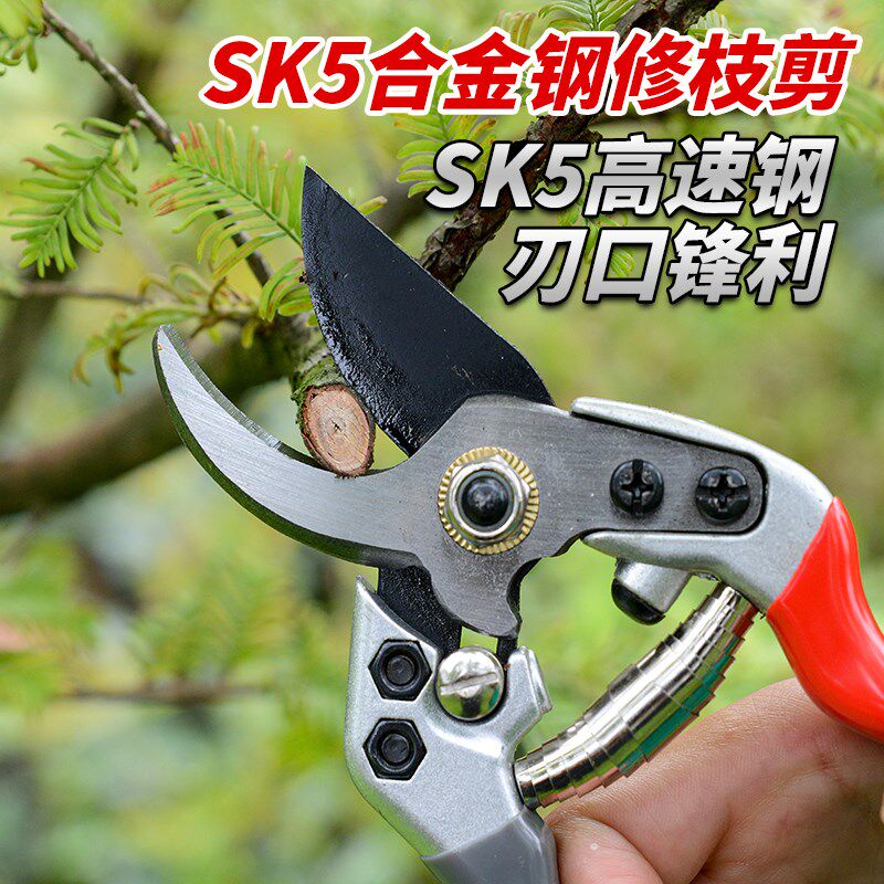 速发园邮SK5材质强力园艺剪不锈钢省力修剪枝果树粗枝树枝专用包