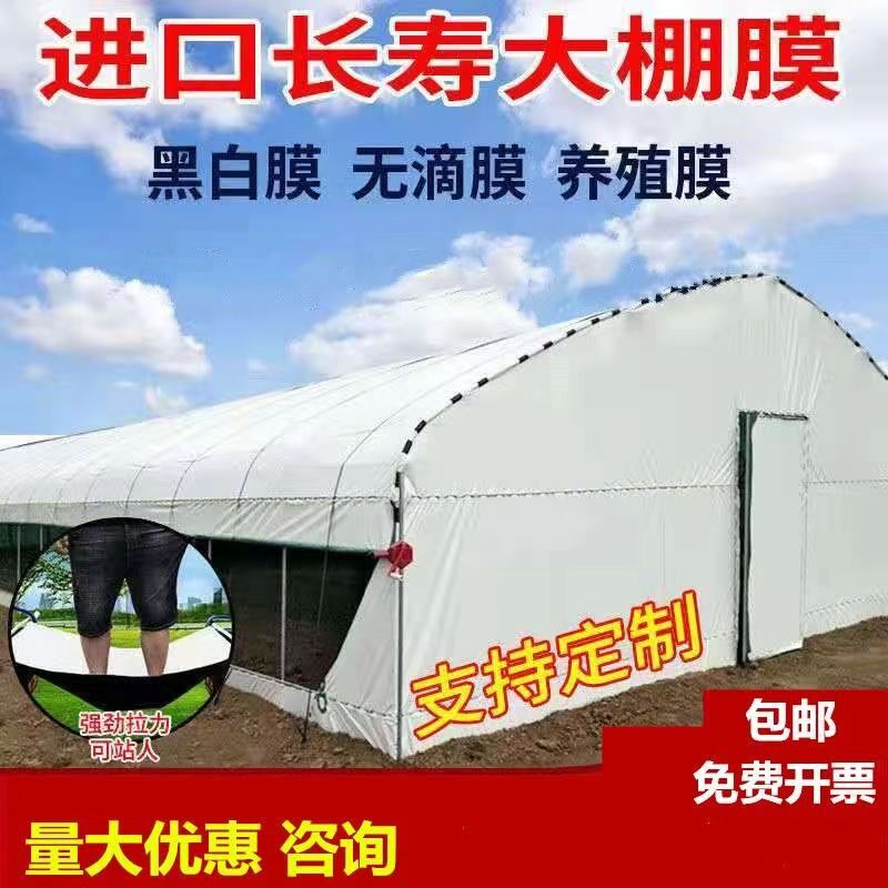 黑白膜大棚遮阳防晒隔热膜养鸡大棚防雨塑料布养殖进口加厚青储贮