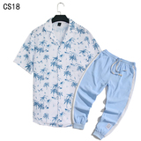 1508-CS18+K522-P45外贸欧美跨境现货短袖衬衫套装夏威夷沙滩衬衣，男装T恤，星座1508-1