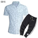 1508-CS15+K522-P45外贸欧美跨境现货短袖衬衫套装夏威夷沙滩衬衣，男装T恤，星座1508-1