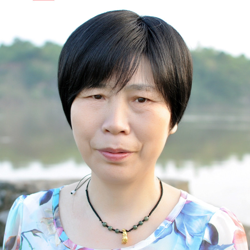 送奶奶假发女短发真人发全头套老年人假头发假发套婆婆光头遮白发