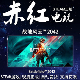 PC中文正版 steam平台 国区 联机游戏 战地2042 Battlefield 2042