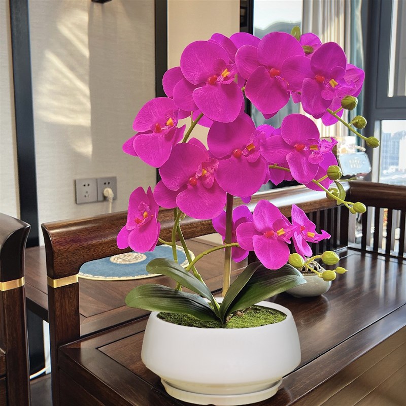 速发蝴蝶兰花假花摆设手感花卉盆栽客厅餐桌摆花摆件桌面插花装饰