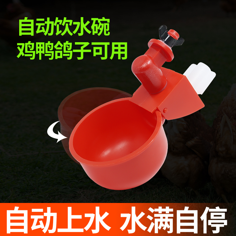 速发鸡用饮水碗家禽自动饮水器雏鸡喝水碗鸽子鹌鹑加厚喂水碗养殖