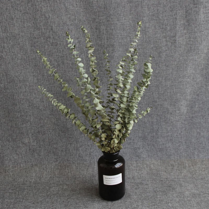 速发鹏杰花卉,配加利叶自然干花干花插花尤花拍摄客厅装饰
