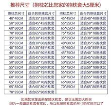 Провода плиты .抱枕芯靠包芯靠垫芯方垫芯45 50 55 60