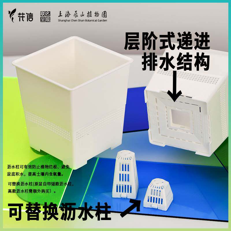 速发呼吸盆多肉热植方形盆浆草龙舌兰酢树脂花盆防烂根控根塑料盆
