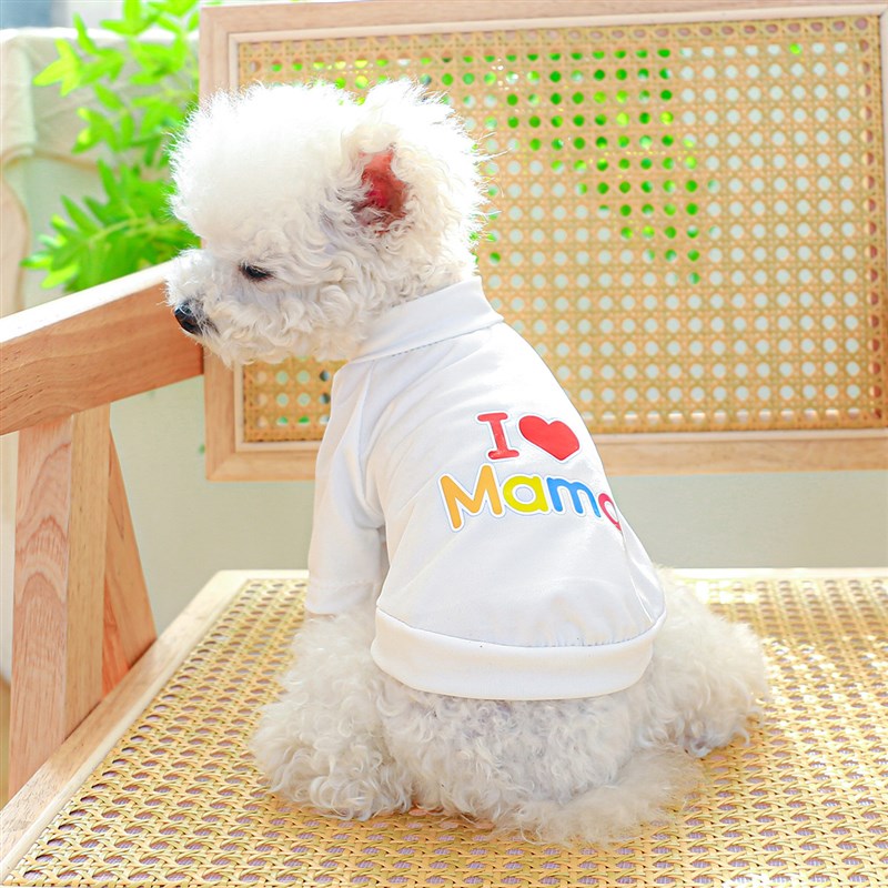 速发衣服狗服饰春品舒适爱脚中小型犬泰迪比熊我透妈妈两气衣