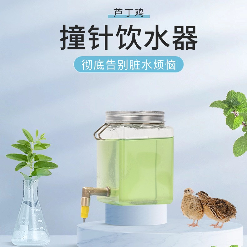 速发芦丁鸡鹦鹉撞针饮水器水壶鸟用饮水器撞针水嘴自动喝水大容量
