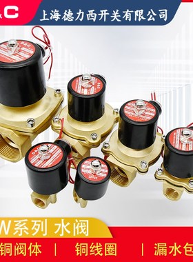 速发阀力西开关 2W-025-08 160-15水上254-25电磁阀000-40 200-20