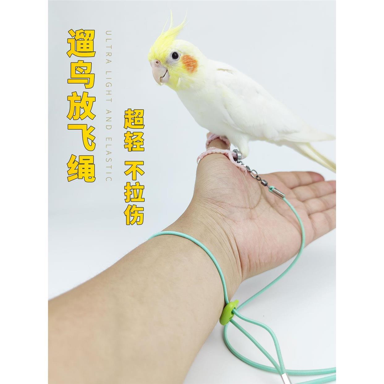 速发嘟嘟八鹉放飞绳不伤脚超轻训练绳虎脚玄凤鹦哥脚环皮链遛鸟飞