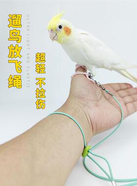 速发嘟嘟八鹉放飞绳不伤脚超轻训练绳虎脚玄凤鹦哥脚环皮链遛鸟飞