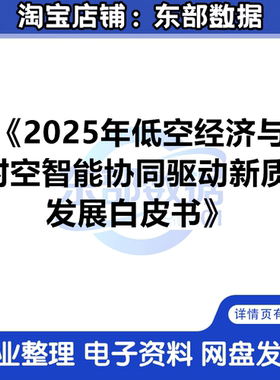 2025年低空经济与时空智能协同驱动新质发展白皮书 数据分析资料