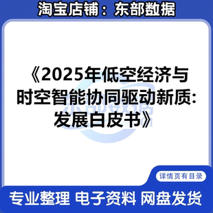 2025年低空经济与时空智能协同驱动新质发展白皮书 数据分析资料