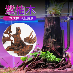 鱼缸造景沉木紫柚木珊瑚木流木虾龟鱼装饰素材根雕摆件晒台