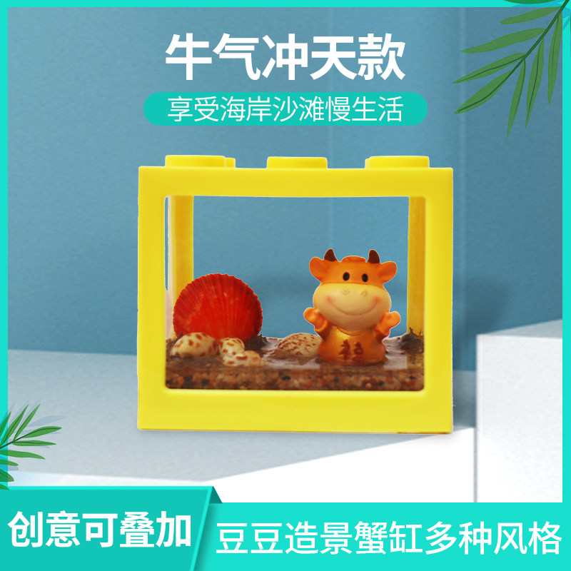 迷你豆豆蟹桌面可爱系小宠物不喂食生态系统缸造景牛气冲天款