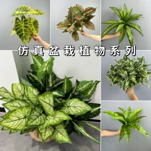 仿真植物绿植盆栽装 饰植物墙配材把束过胶叶子12头芋头叶孔雀竹芋