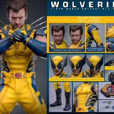 HOTTOYS 死侍与金刚狼 金刚狼 1/6 可动人偶 补款