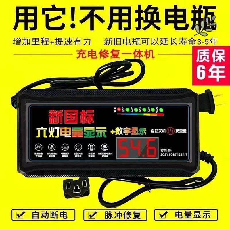 自动断电 两轮三轮电动车电动车充电器48V60V72V超级快充电车通用
